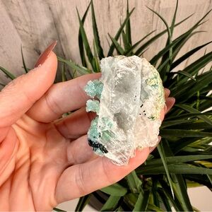 Very Rare Selenite w/ Green Chlorite Inclusions - unique crystal!!